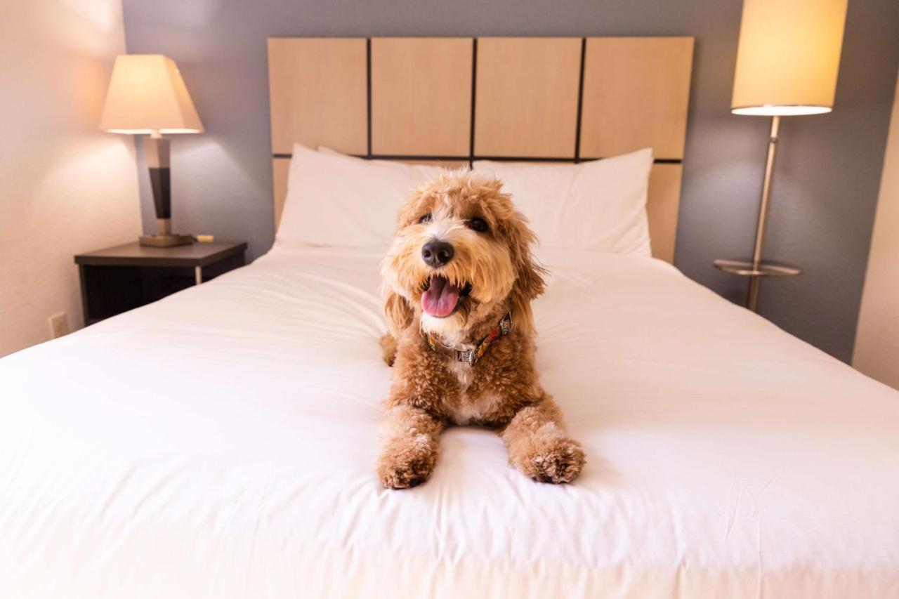 Sonesta Simply Suites Minneapolis Richfield Eksteriør bilde